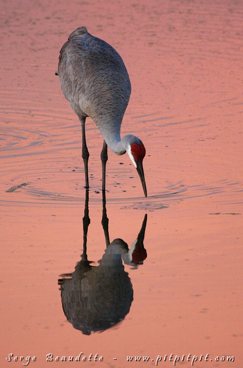 2009-01-04 17-47-27__MG_0190.JPG